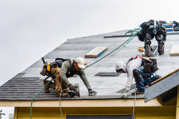 Professional Roofing technician working in Snover, MI