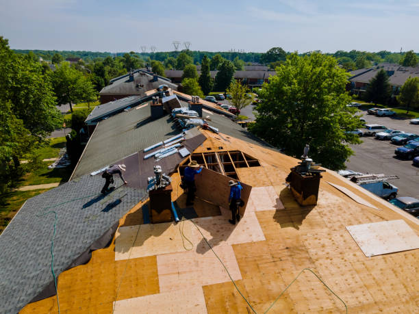 Trusted Roof Replacement service in Snover, MI - Brentwood Metal Roofing